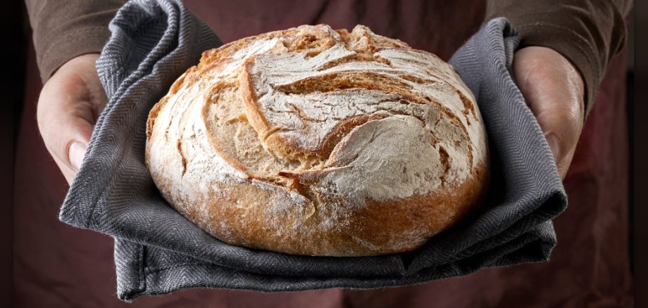 Brot 